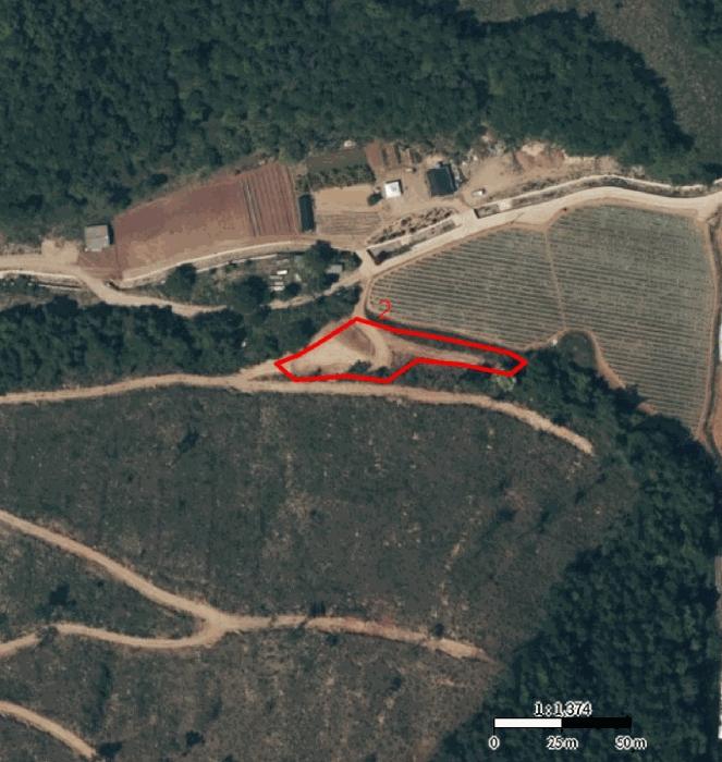 충청북도 단양군 어상천면 심곡리 산12 임야 경매 사진 30