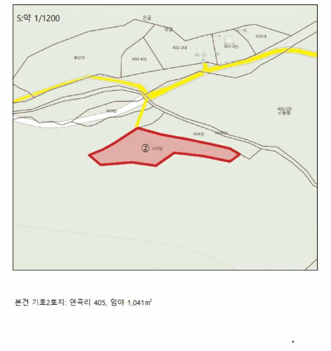 충청북도 단양군 어상천면 심곡리 산12 임야 경매 사진 32