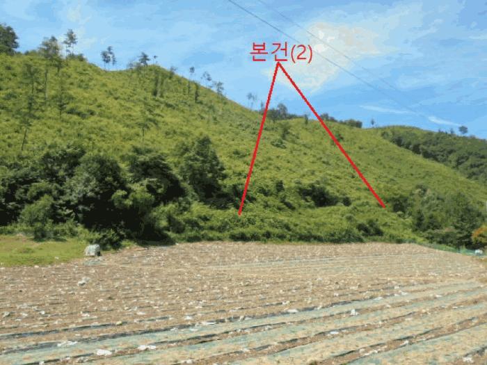 충청북도 단양군 어상천면 심곡리 산12 임야 경매 사진 5