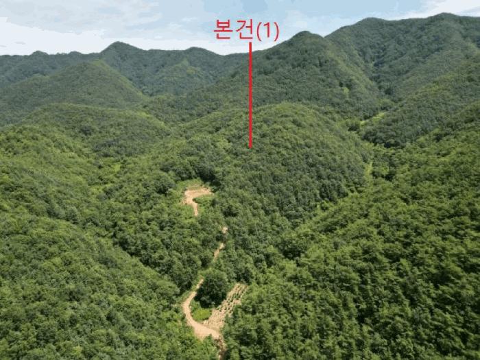 충청북도 단양군 어상천면 심곡리 산12 임야 경매 사진 7