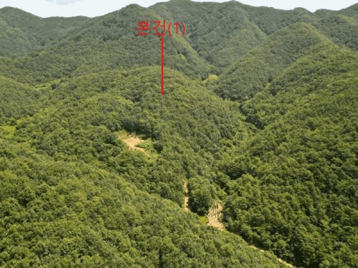 충청북도 단양군 임야