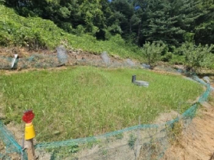 충청북도 단양군 어상천면 연곡리 405 임야 경매 사진 12