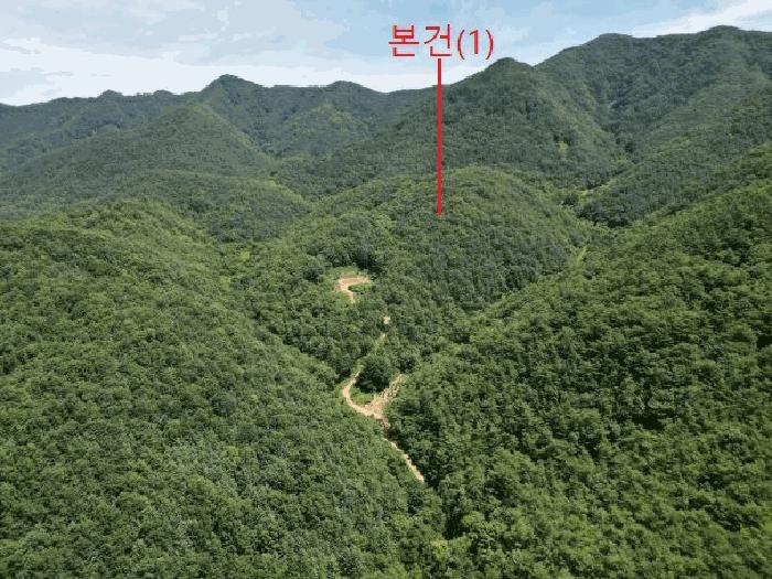 충청북도 단양군 어상천면 연곡리 405 임야 경매 사진 24