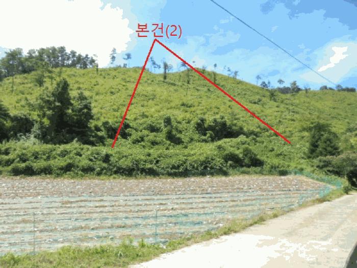 충청북도 단양군 어상천면 연곡리 405 임야 경매 사진 3