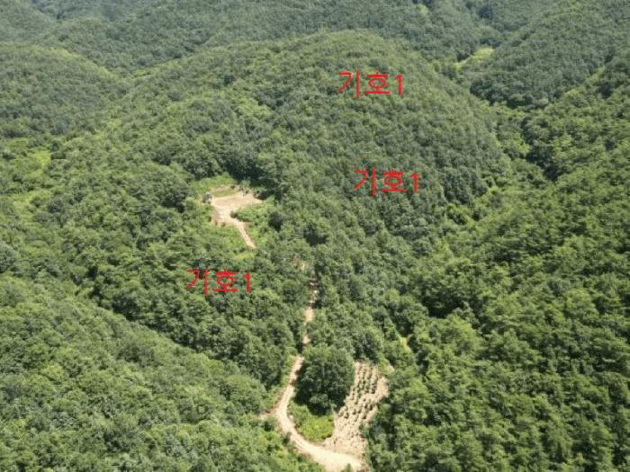 충청북도 단양군 어상천면 연곡리 405 임야 경매 사진 4