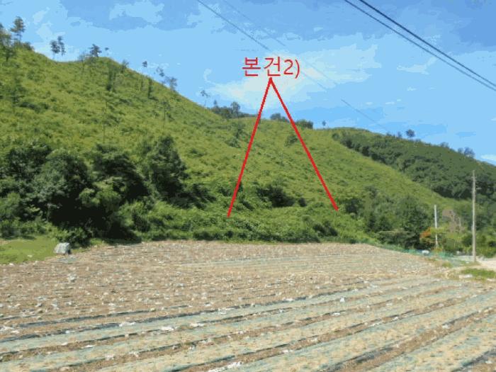 충청북도 단양군 어상천면 연곡리 405 임야 경매 사진 6