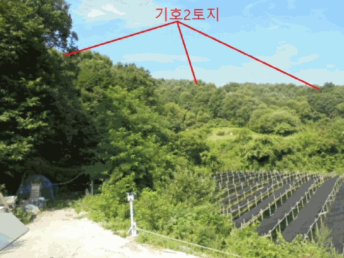충청북도 제천시 백운면 원월리 351 주택 경매 사진 10