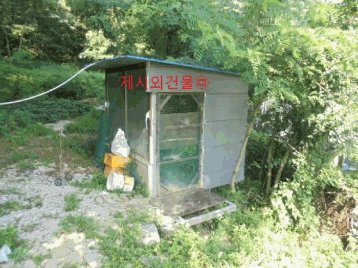 충청북도 제천시 백운면 원월리 351 주택 경매 사진 16