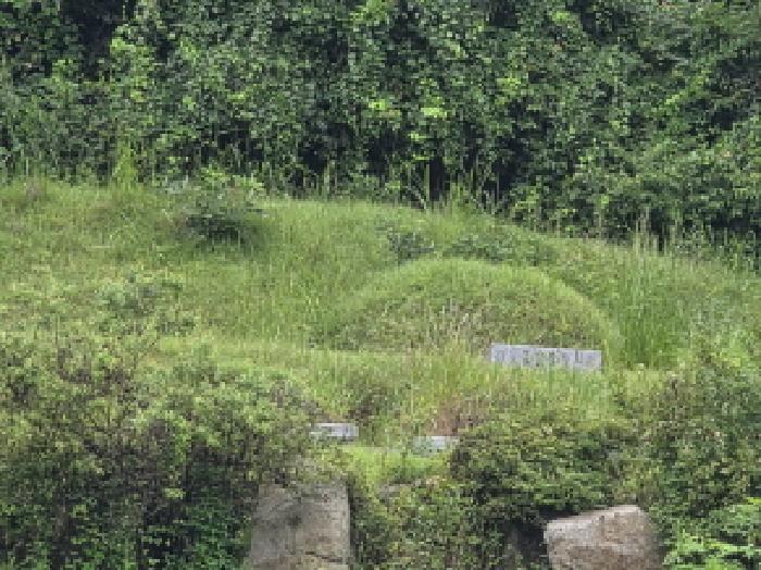 충청북도 제천시 백운면 원월리 351 주택 경매 사진 28