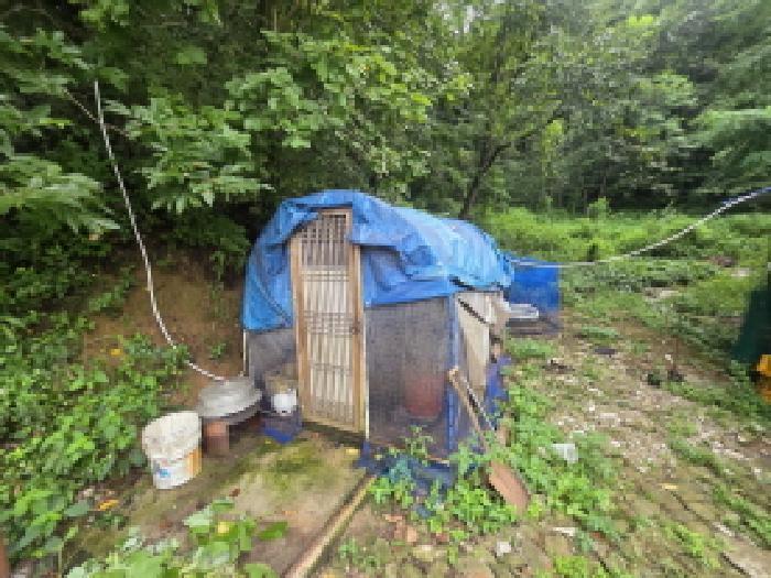 충청북도 제천시 백운면 원월리 351 주택 경매 사진 30