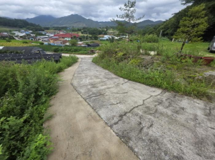 충청북도 제천시 백운면 원월리 351 주택 경매 사진 31