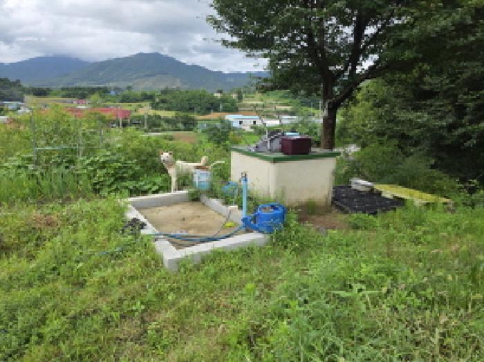 충청북도 제천시 백운면 원월리 351 주택 경매 사진 32