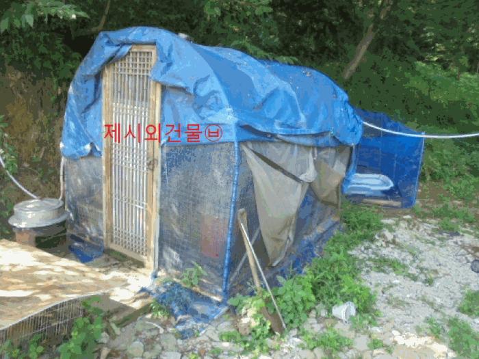 충청북도 제천시 백운면 원월리 351 주택 경매 사진 5