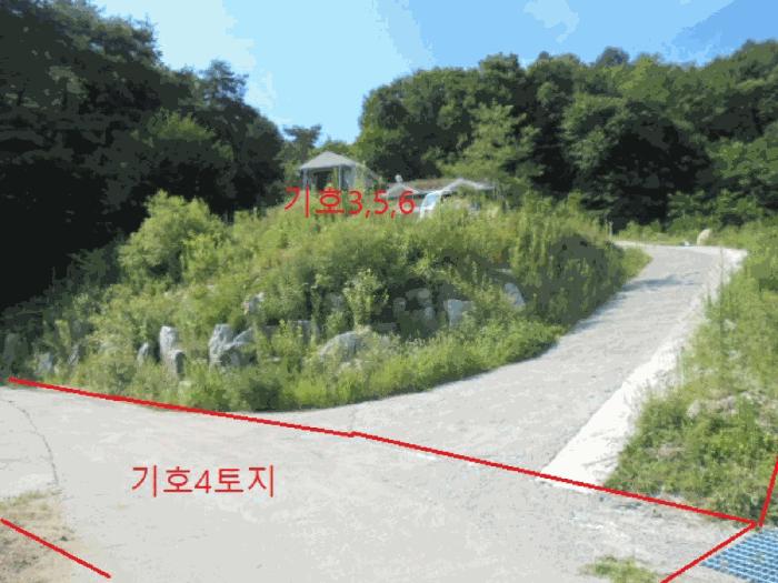충청북도 제천시 백운면 원월리 351 주택 경매 사진 7
