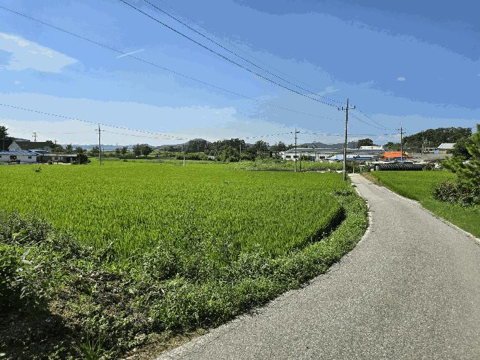 충청남도 아산시 영인면 창용리 162-1 주택 경매 사진 16