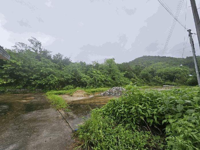 충청북도 제천시 청풍면 단리 산31-12 임야 경매 사진 2