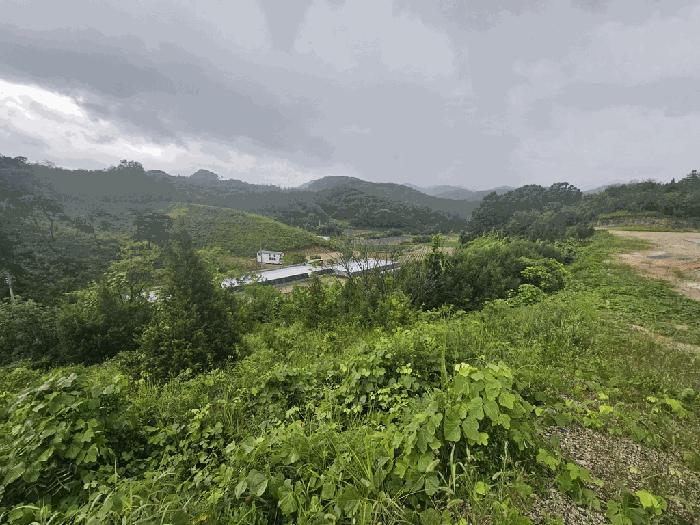 충청북도 제천시 청풍면 단리 산31-12 임야 경매 사진 3