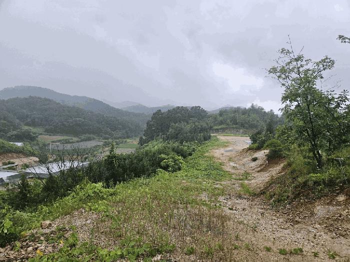 충청북도 제천시 청풍면 단리 산31-12 임야 경매 사진 7