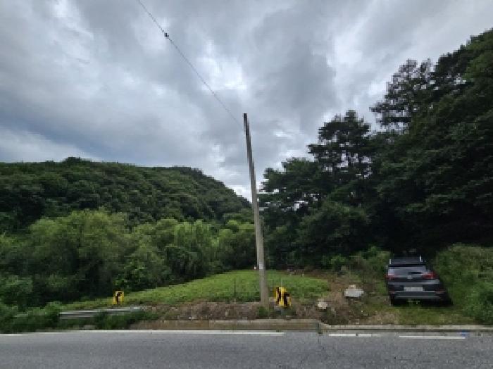 충청북도 제천시 자작동 산18-1 임야 경매 사진 21