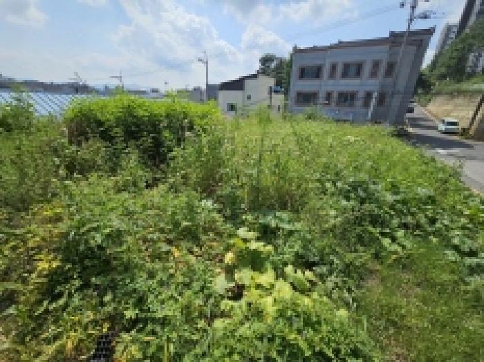 충청북도 제천시 하소동 107-4 전 경매 사진 13
