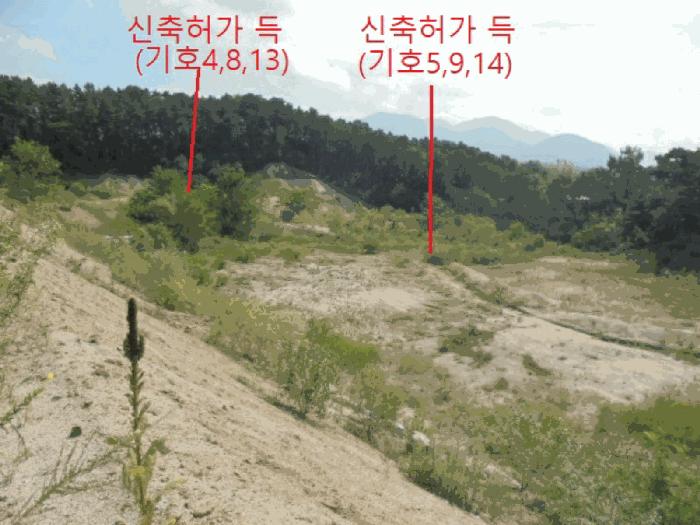 충청북도 제천시 흑석동 172-19 임야 경매 사진 12