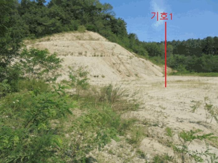 충청북도 제천시 흑석동 172-19 임야 경매 사진 14