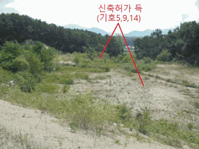 충청북도 제천시 흑석동 172-19 임야 경매 사진 16