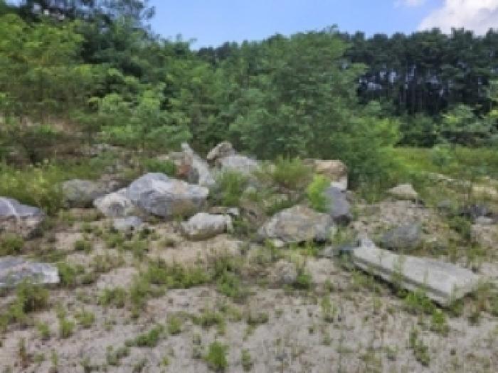 충청북도 제천시 흑석동 172-19 임야 경매 사진 28