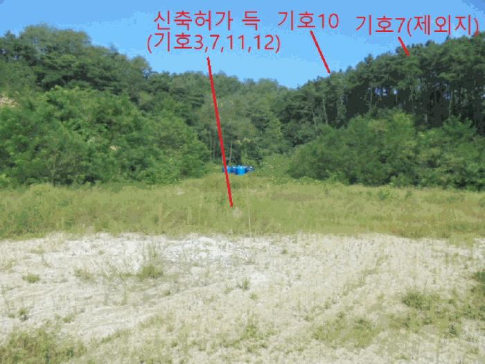 충청북도 제천시 흑석동 172-19 임야 경매 사진 3