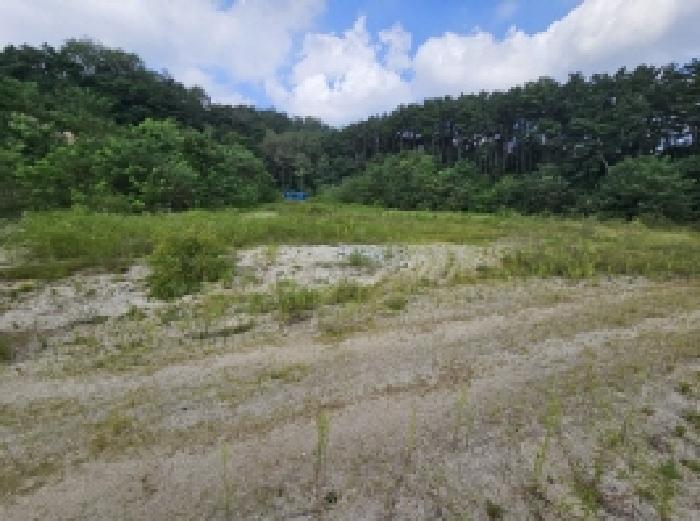 충청북도 제천시 흑석동 172-19 임야 경매 사진 34