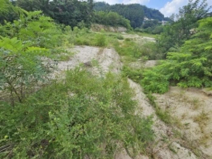 충청북도 제천시 흑석동 172-19 임야 경매 사진 58