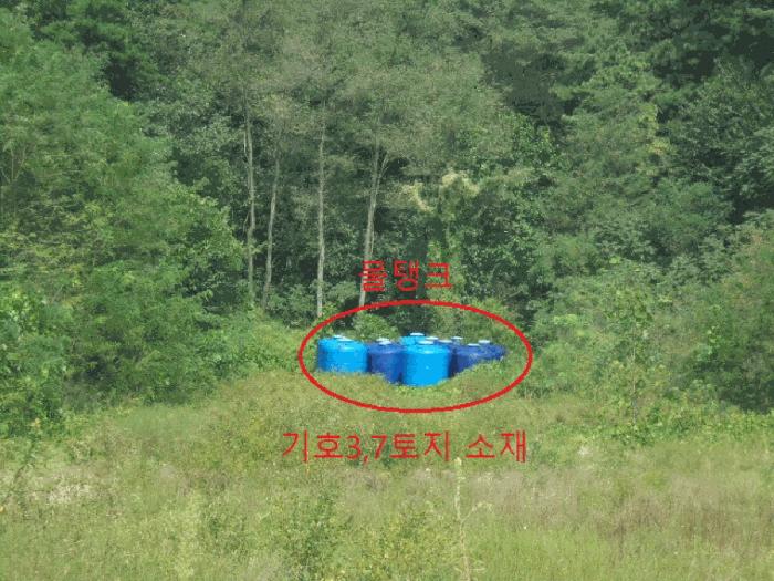 충청북도 제천시 흑석동 172-19 임야 경매 사진 6