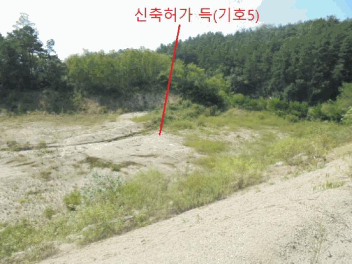 충청북도 제천시 흑석동 172-19 임야 경매 사진 8