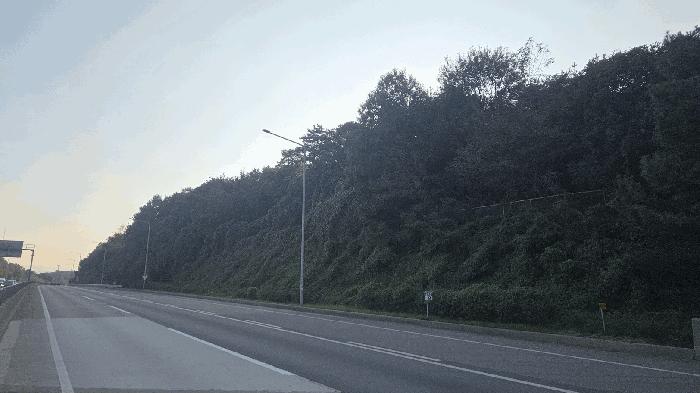 충청남도 천안시 동남구 목천읍 삼성리 산67-2 임야 경매 사진 1