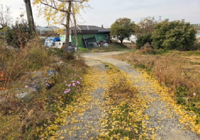 충청남도 아산시 영인면 신봉리 457-2 주택 경매 사진 11