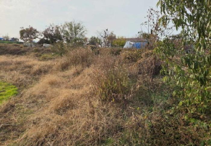 충청남도 아산시 영인면 신봉리 457-2 주택 경매 사진 13