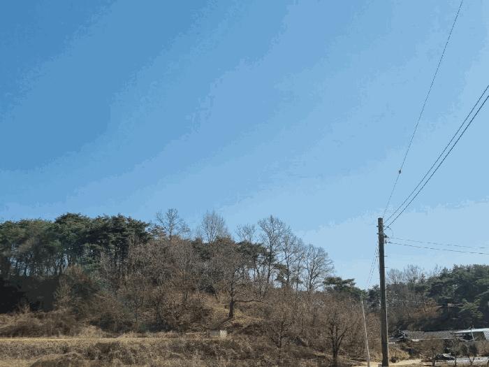 경상북도 안동시 와룡면 지내리 산29 임야 경매 사진 1