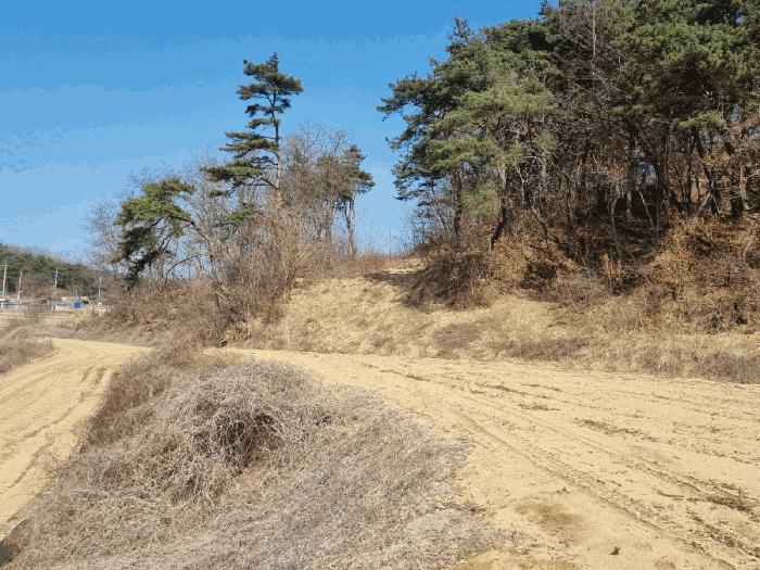 경상북도 안동시 와룡면 지내리 산29 임야 경매 사진 3