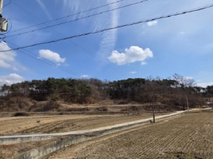 경상북도 안동시 와룡면 지내리 산29 임야 경매 사진 5