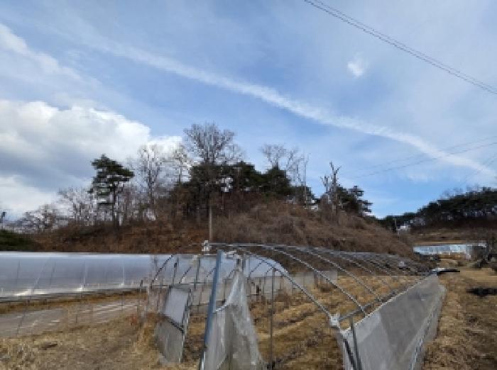 경상북도 안동시 와룡면 지내리 산29 임야 경매 사진 6