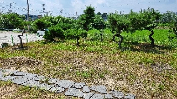 전북특별자치도 남원시 사매면 오신리 809-5 주택 경매 사진 10