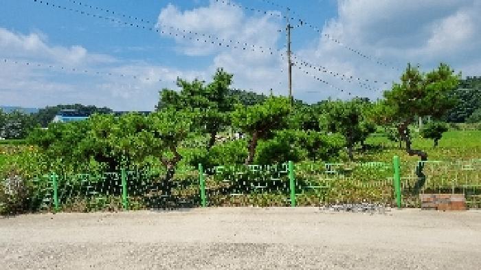 전북특별자치도 남원시 사매면 오신리 809-5 주택 경매 사진 17