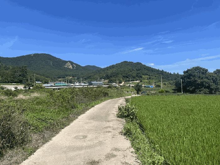 전라남도 장흥군 전