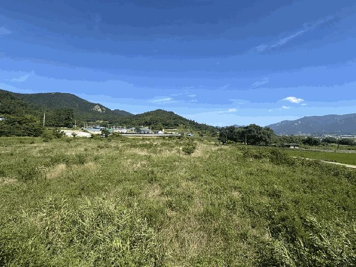 전라남도 장흥군 대덕읍 잠두리 555 전 경매 사진 2