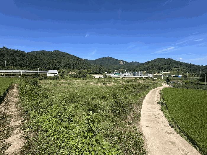 전라남도 장흥군 대덕읍 잠두리 555 전 경매 사진 3