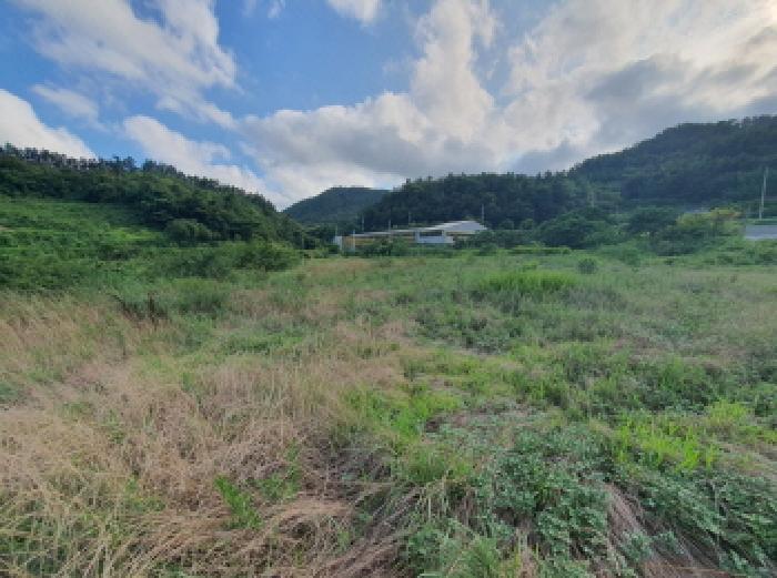 전라남도 장흥군 대덕읍 잠두리 555 전 경매 사진 5
