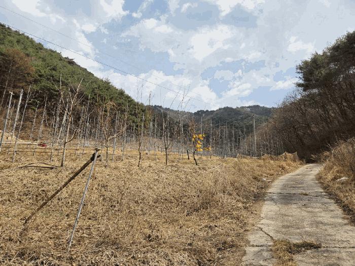 경상북도 봉화군 물야면 개단리 110 전 경매 사진 1