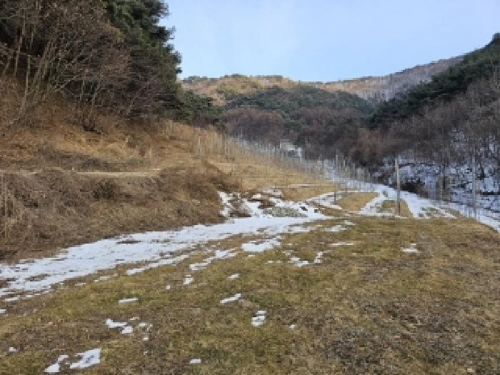 경상북도 봉화군 물야면 개단리 110 전 경매 사진 9
