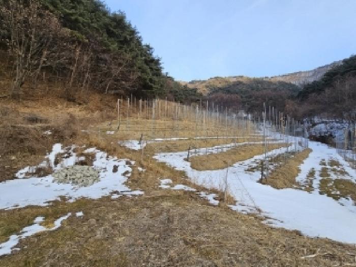 경상북도 봉화군 물야면 개단리 110 전 경매 사진 10