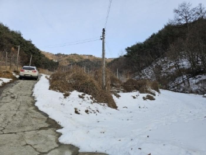 경상북도 봉화군 물야면 개단리 110 전 경매 사진 13